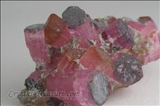 Fine Pink 電気石 (Tourmaline) Cabinet