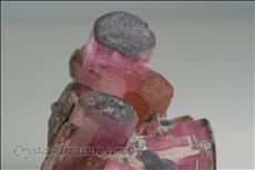 Fine Pink 電気石 (Tourmaline) Cabinet