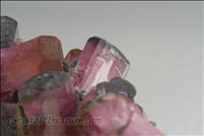 Fine Pink 電気石 (Tourmaline) Cabinet