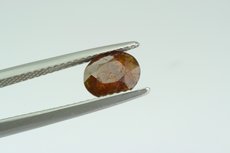 Faceted Monazite & Crystal