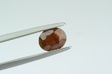 Faceted Monazite & Crystal