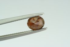 ﾓﾅｽﾞ石 (Monazite -(Ce))