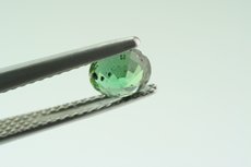 Green Kornerupine faceted & rough