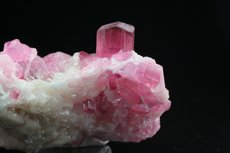 Pinkfarbige Turmalin Kristalle in Matrix