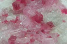 Pinkfarbige Turmaline Kristalle in Matrix