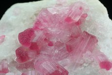 Pinkfarbige Turmaline Kristalle in Matrix