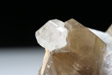 Phenakite Crystal on Smokey Quartz