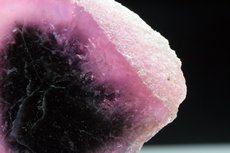 Slice Mushroom Tourmaline Crystal