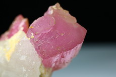 Pink Turmalin Kristall auf Quarz
