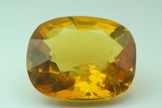 Faceted Amber Burmite