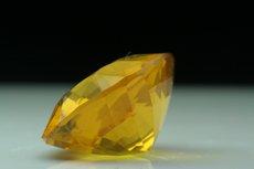 Faceted Amber Burmite