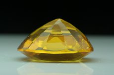 Faceted Amber Burmite