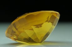 Faceted Amber Burmite