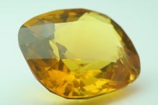 Faceted Amber Burmite