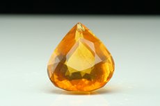 フッ素燐灰石 (Amber, Burmite)