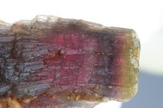 Bluish-pink Mushroom Tourmaline