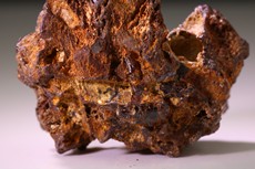 Several Painite Crystals in Matrix