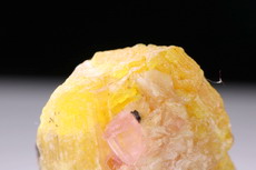 Rare Rubellite on Stibiotantalite