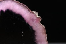 Pilz- Turmalin Kristall Querschnitt