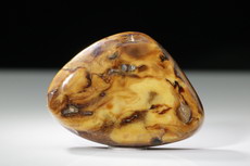 Root Amber Myanmar