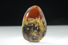 Root Amber Myanmar