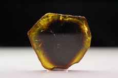 Yellow / Black Tourmaline Slice 