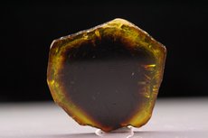 Yellow / Black Tourmaline Slice 