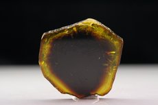 Yellow / Black Tourmaline Slice 