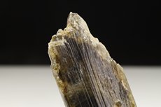 Aktinolith Kristall 