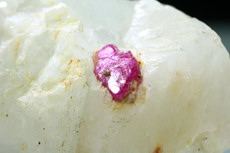 Rubin Kristall in Marmor Mogok