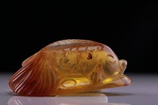 Fish Amber Carving