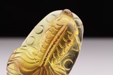 Fish Amber Carving