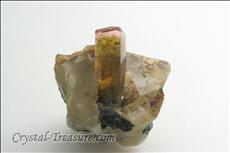 Fine 電気石 (Tourmaline) in Matrix