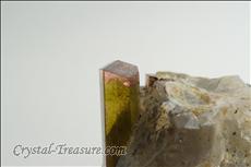 Fine 電気石 (Tourmaline) in Matrix