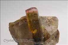 Fine 電気石 (Tourmaline) in Matrix