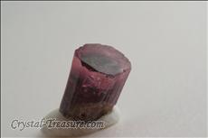 Tri-colored Fine Terminated Rubellite