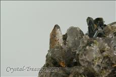 緑レン石 (Epidote) / 石英 (Quartz) Cabinet