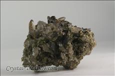 緑レン石 (Epidote) / 石英 (Quartz) Cabinet