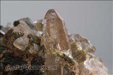 緑レン石 (Epidote) / 石英 (Quartz) Cabinet