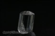 9 Fine Terminated フェナサイト (Phenakite) 結晶  (Crystals)