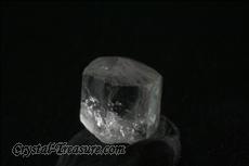 9 Fine Terminated フェナサイト (Phenakite) 結晶  (Crystals)