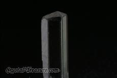 10 Fine Terminated フェナサイト (Phenakite) 結晶  (Crystals)