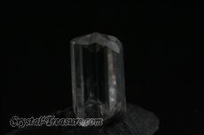 10 Fine Terminated フェナサイト (Phenakite) 結晶  (Crystals)