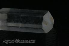 11 Fine Terminated Phenakite Crystals