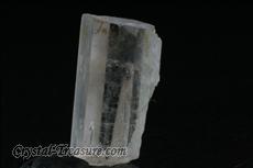 12 Transparent Phenakite Crystals