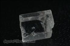 12 Transparente Phenakit- Kristalle