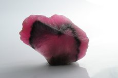 Mushroom 電気石 (Tourmaline) Slice