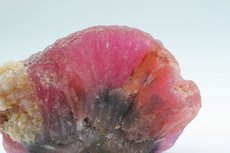 Mushroom Tourmaline - Rubellite