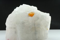 Schöner Chondrodit Kristall in Matrix