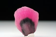 Fine translucent Mushroom Tourmaline